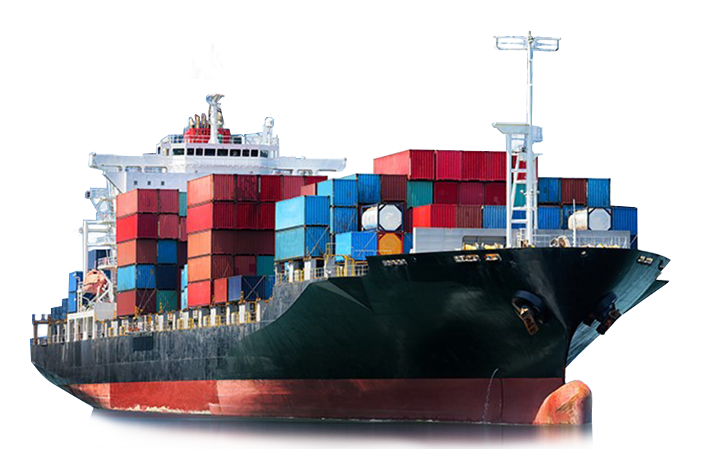 Specialized Services H&F Logistics